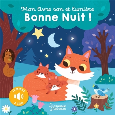 Mon livre son et lumière, Bonne nuit ! (Cartonné)