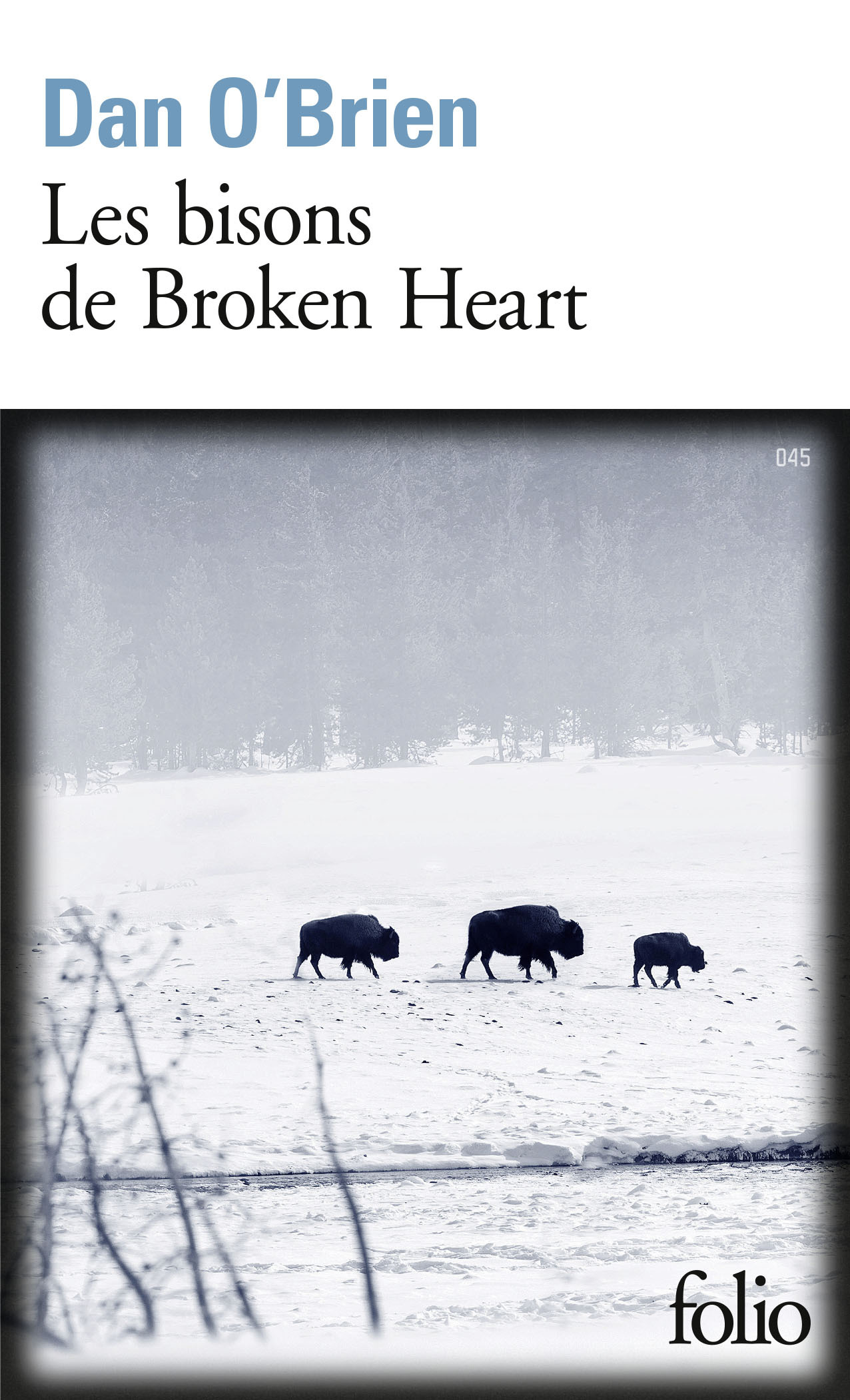 Les bisons de Broken Heart (Poche)