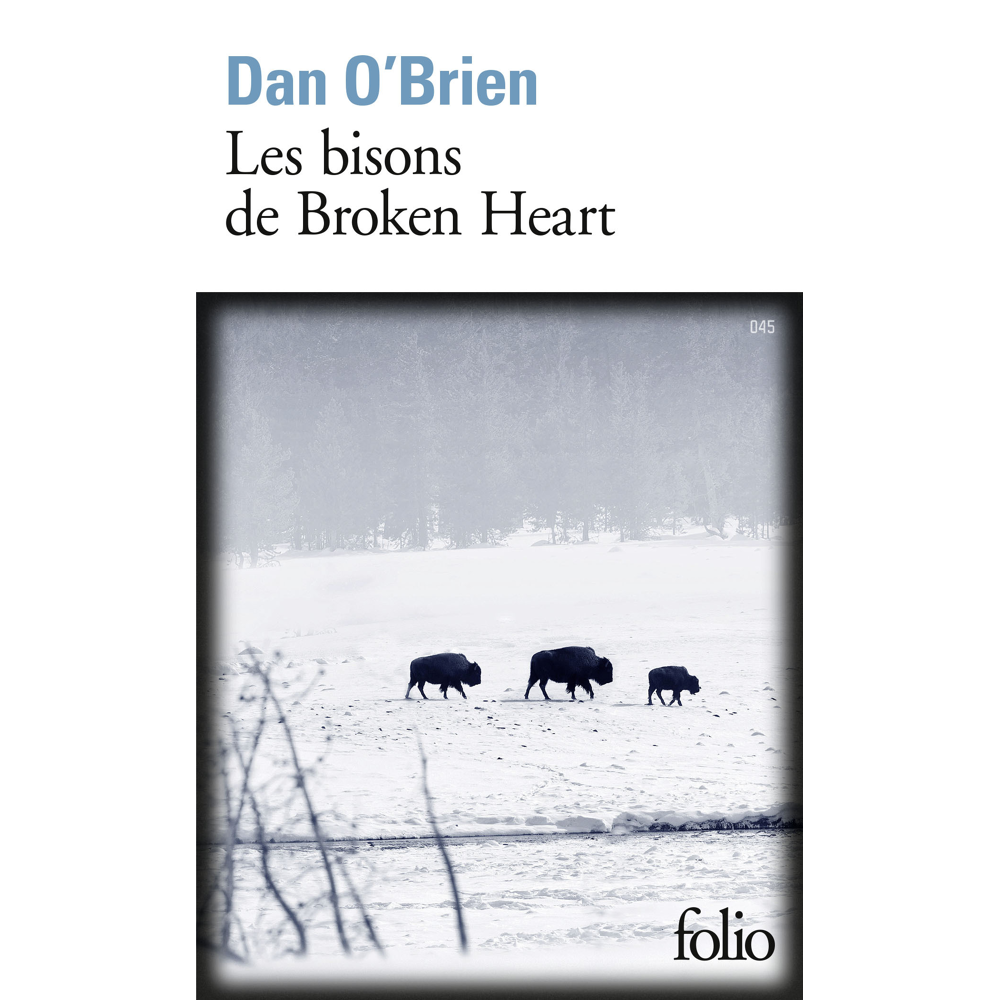 Les bisons de Broken Heart (Poche)