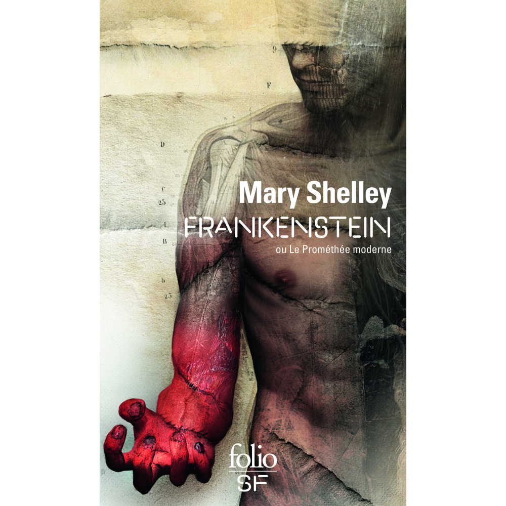 Frankenstein ou Le Prométhée moderne (Poche)