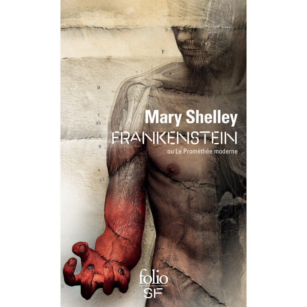 Frankenstein ou Le Prométhée moderne (Poche)