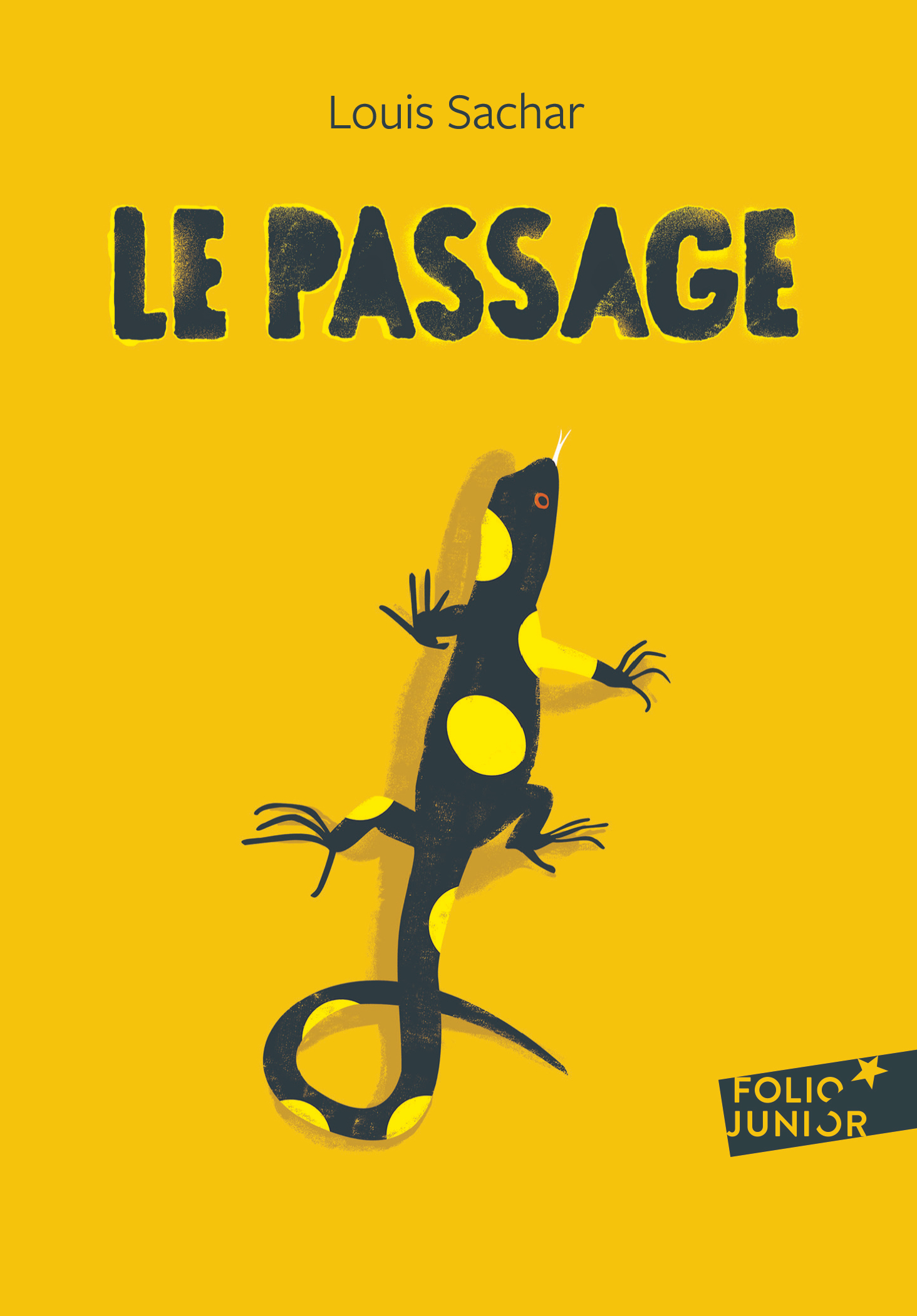 Le Passage (Poche)