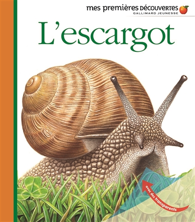L'escargot (Jeunesse)