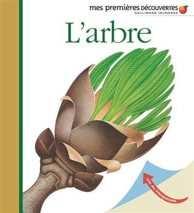 L'arbre (Jeunesse)
