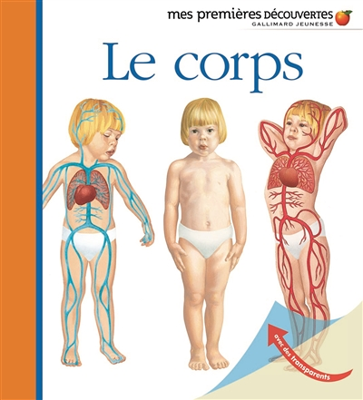 Le corps (Jeunesse)