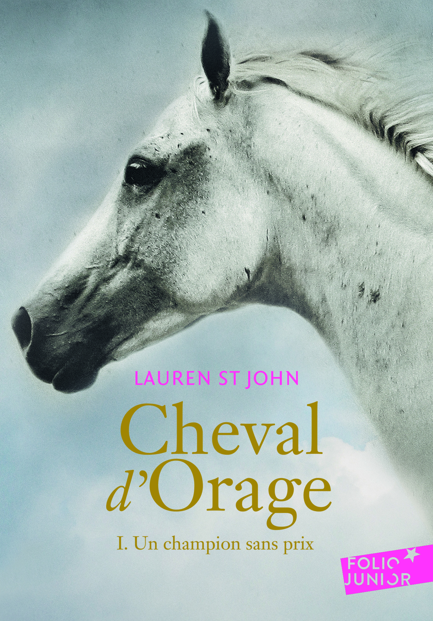 Cheval d'Orage - Un champion sans prix (Poche)
