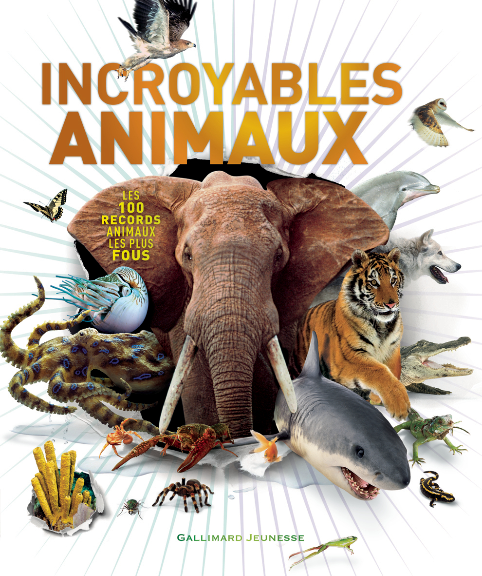 Incroyables animaux - Les 100 records animaux les plus fous (Jeunesse)