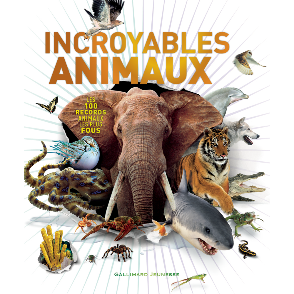 Incroyables animaux - Les 100 records animaux les plus fous (Jeunesse)