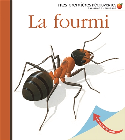La fourmi (Jeunesse)