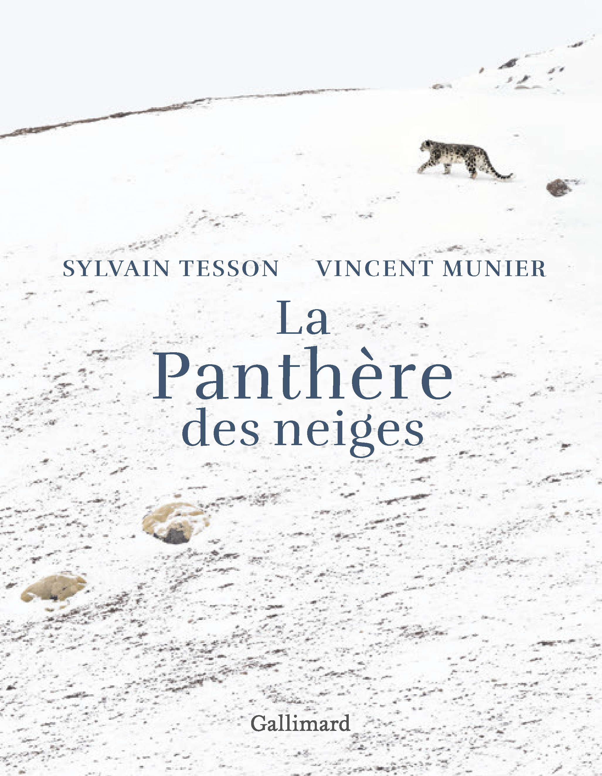La panthère des neiges - Édition illustrée (Relié)
