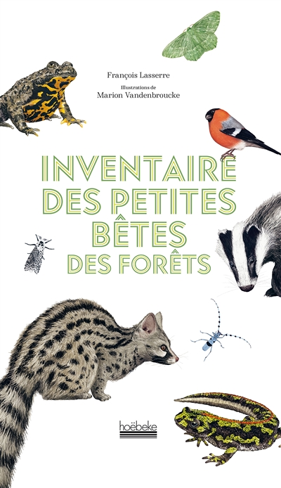 Inventaire des petites bêtes des forêts (Broché)