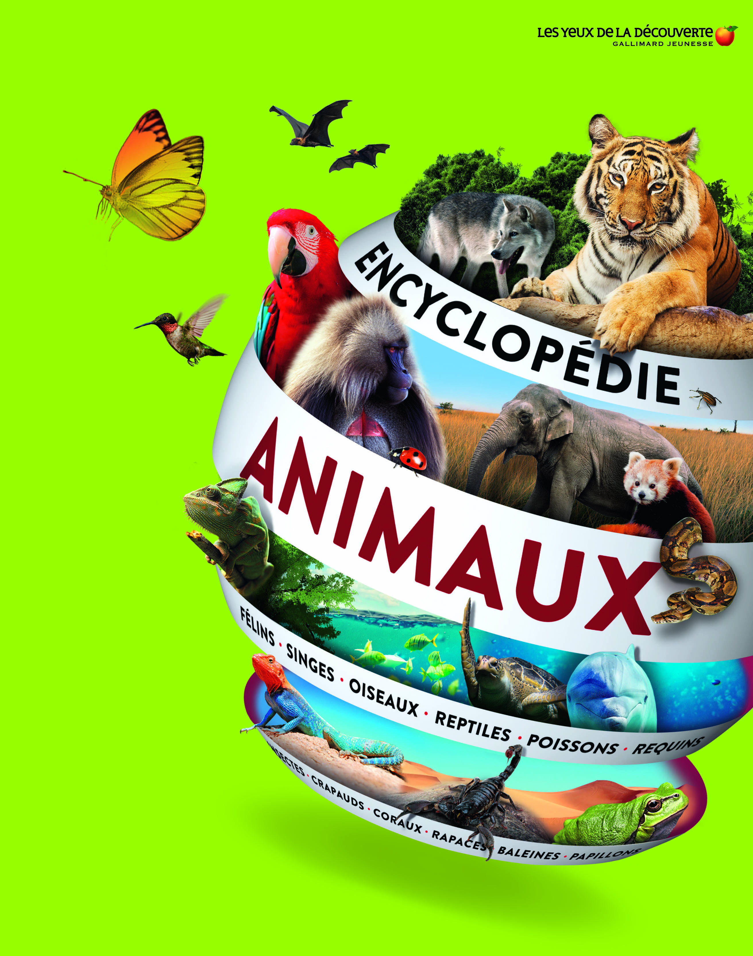 Encyclopédie des animaux (Jeunesse)