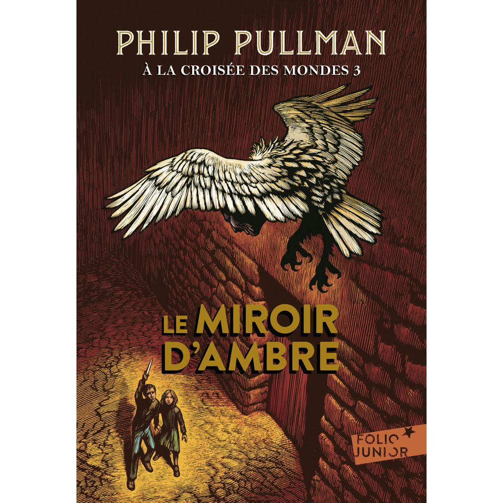 Le Miroir d'ambre (Poche)