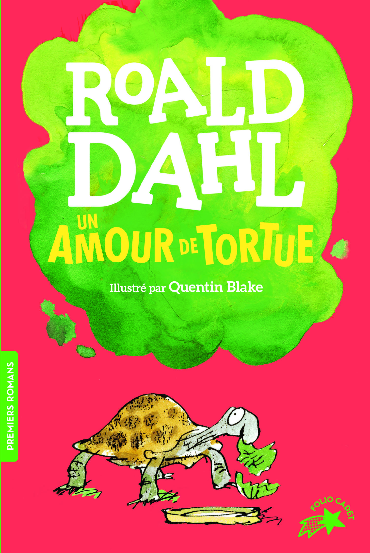 Un amour de tortue (Poche)