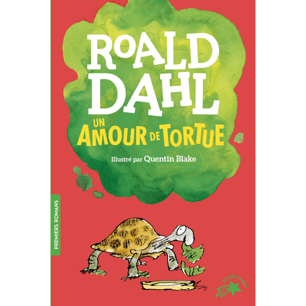 Un amour de tortue (Poche)