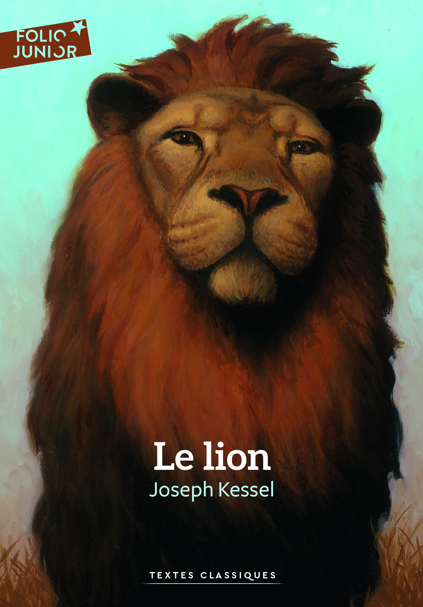 Le lion (Broché)