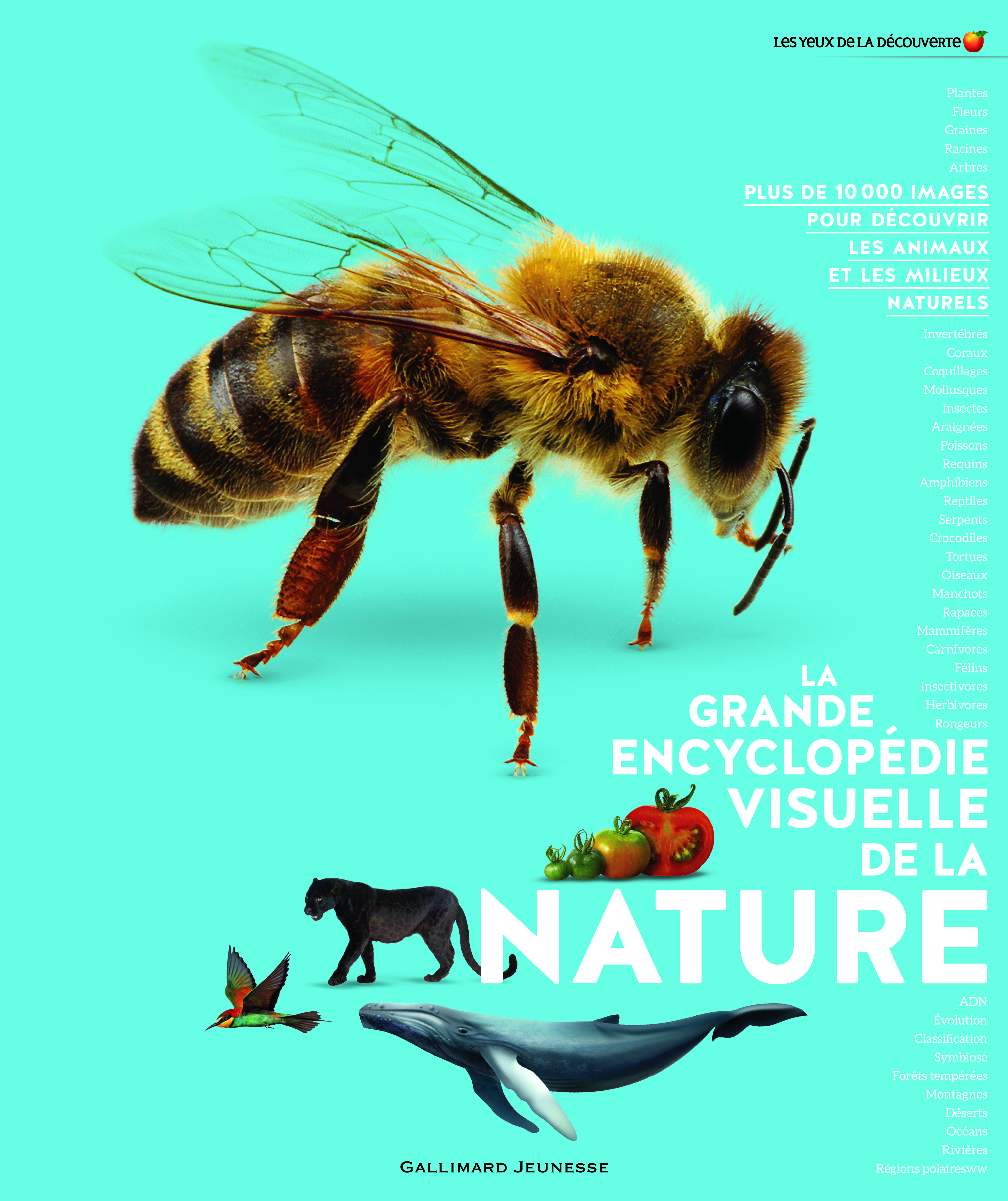 La grande encyclopédie visuelle de la nature (Jeunesse)