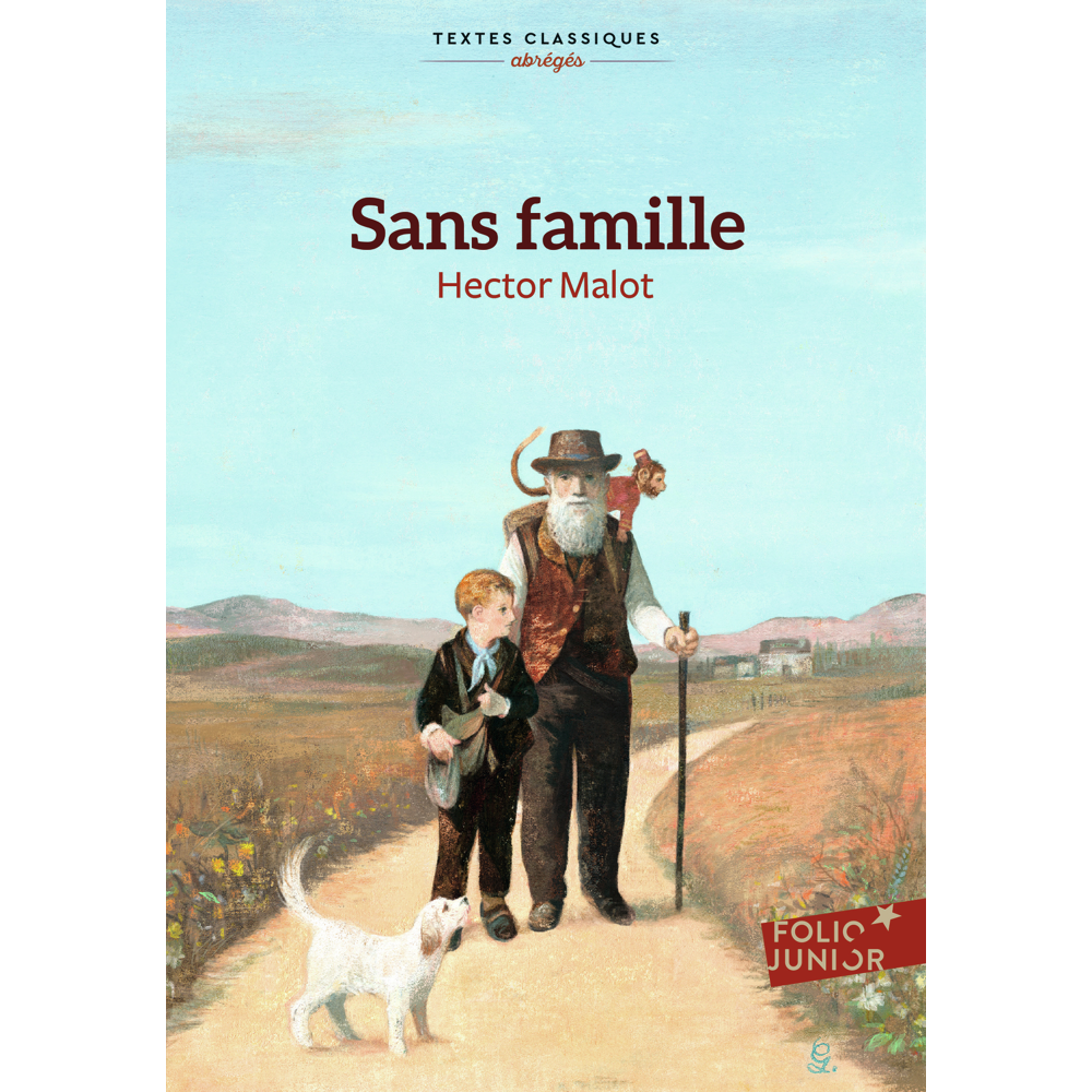 Sans famille (Poche)