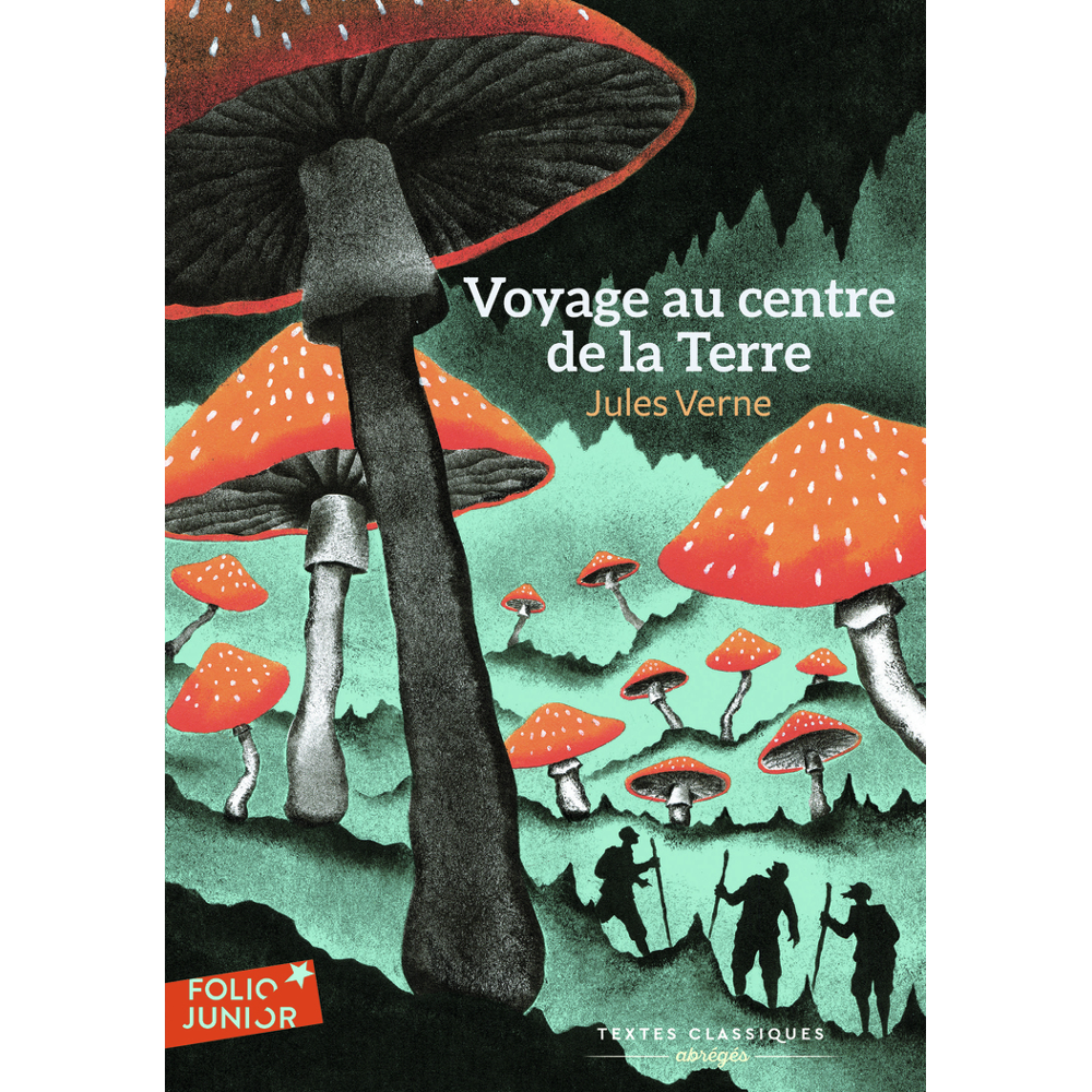 Voyage au centre de la Terre (Poche)