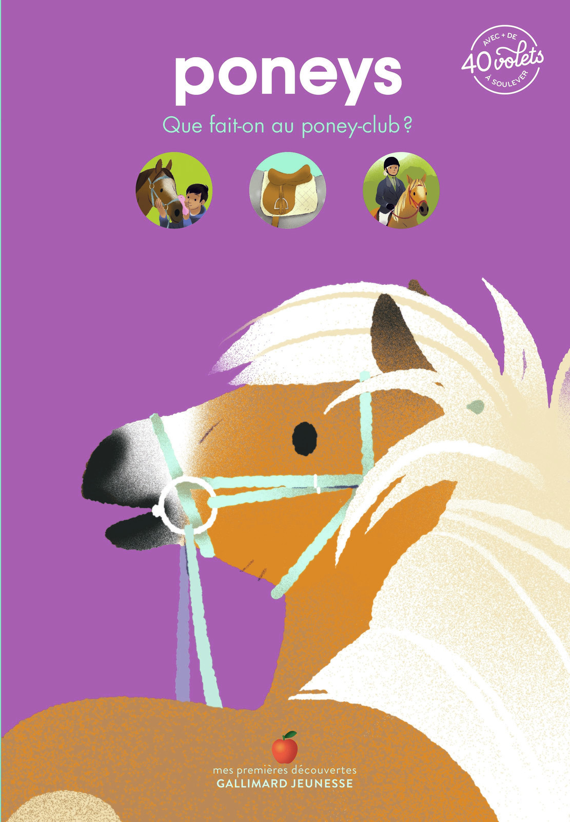 Poneys - Que fait-on au poney-club ? (Jeunesse)