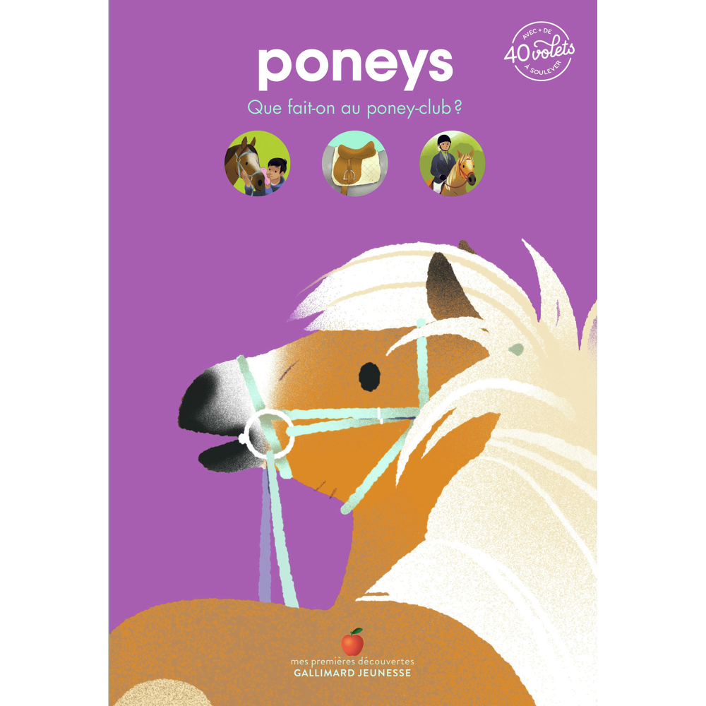 Poneys - Que fait-on au poney-club ? (Jeunesse)