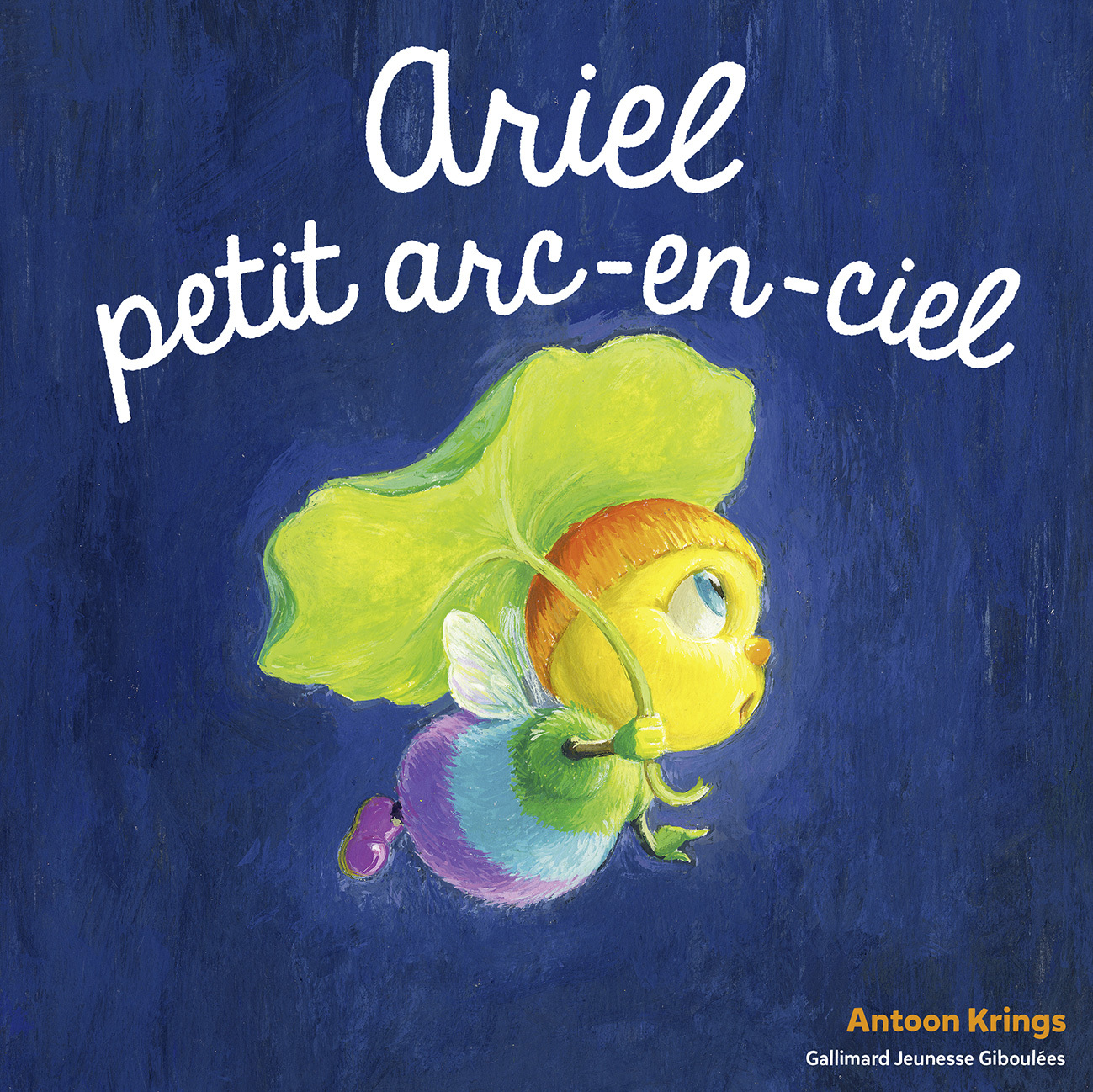 Ariel, petit arc-en ciel (Jeunesse)