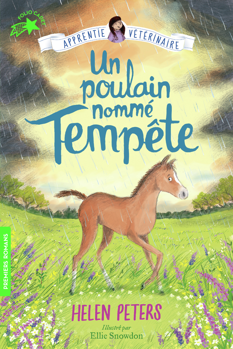 Un poulain nommé Tempête (Poche)