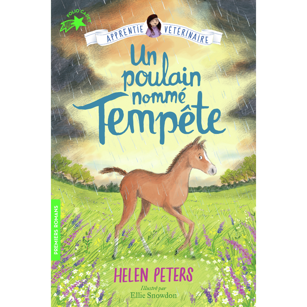 Un poulain nommé Tempête (Poche)
