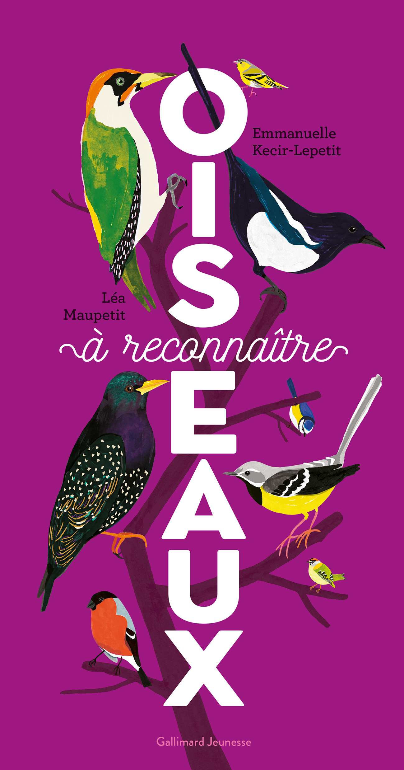 Oiseaux à reconnaître (Broché)