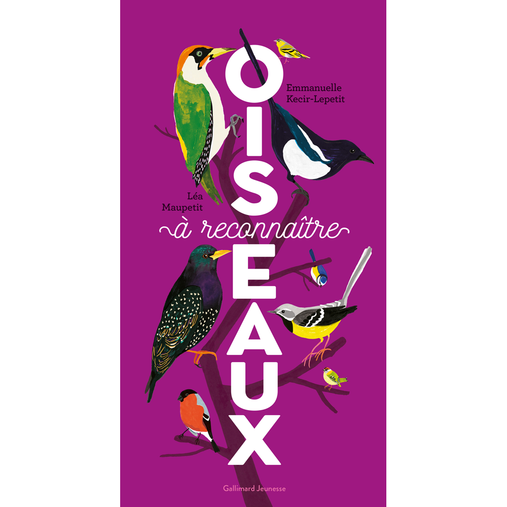 Oiseaux à reconnaître (Broché)