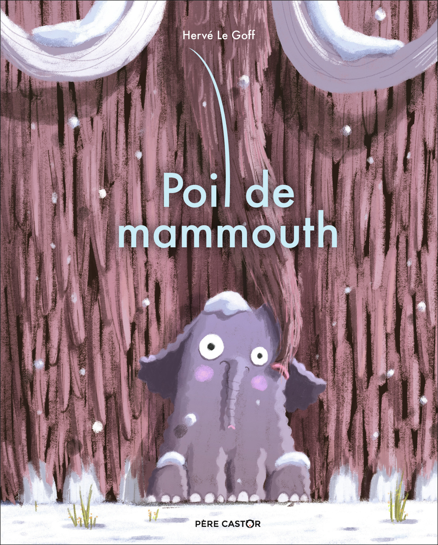 Poil de mammouth (Cartonné)