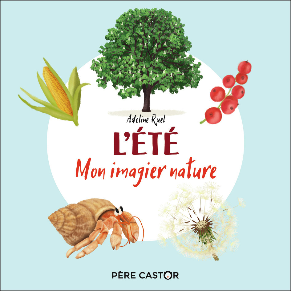 L'été - Mon imagier nature (Cartonné)