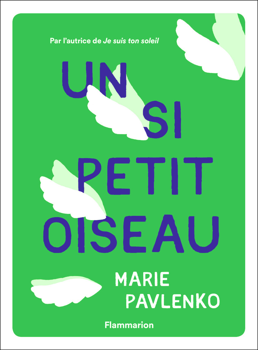 Un si petit oiseau (Broché)