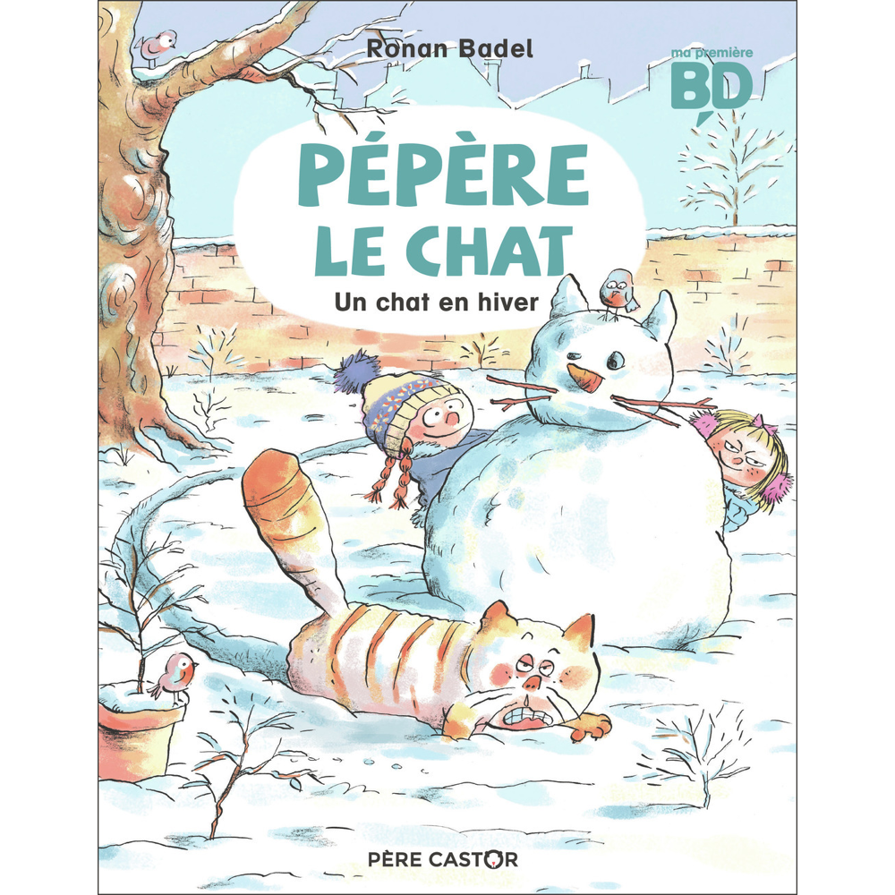 Un chat en hiver (BD)