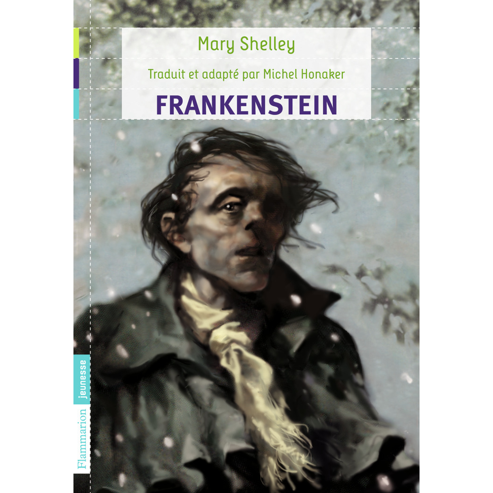 Frankenstein (Poche)