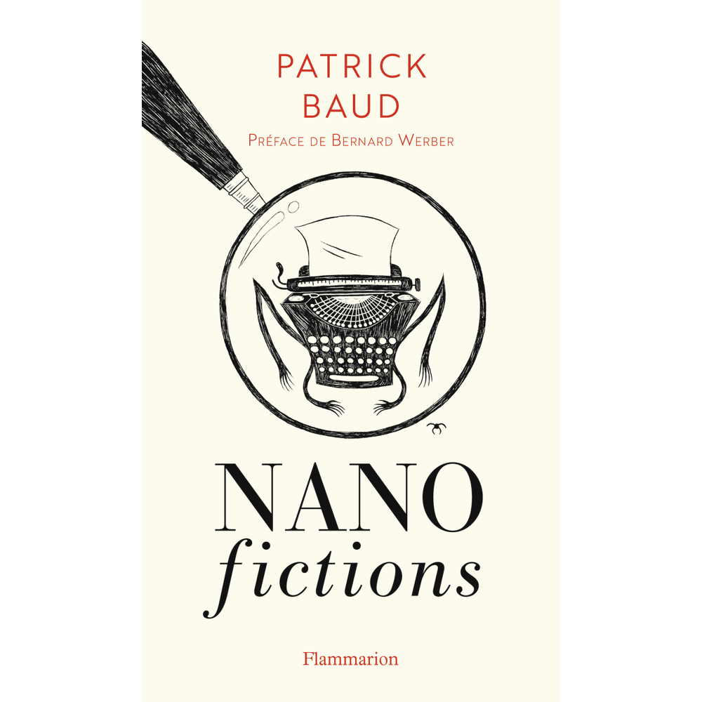 Nanofictions (Grand format)