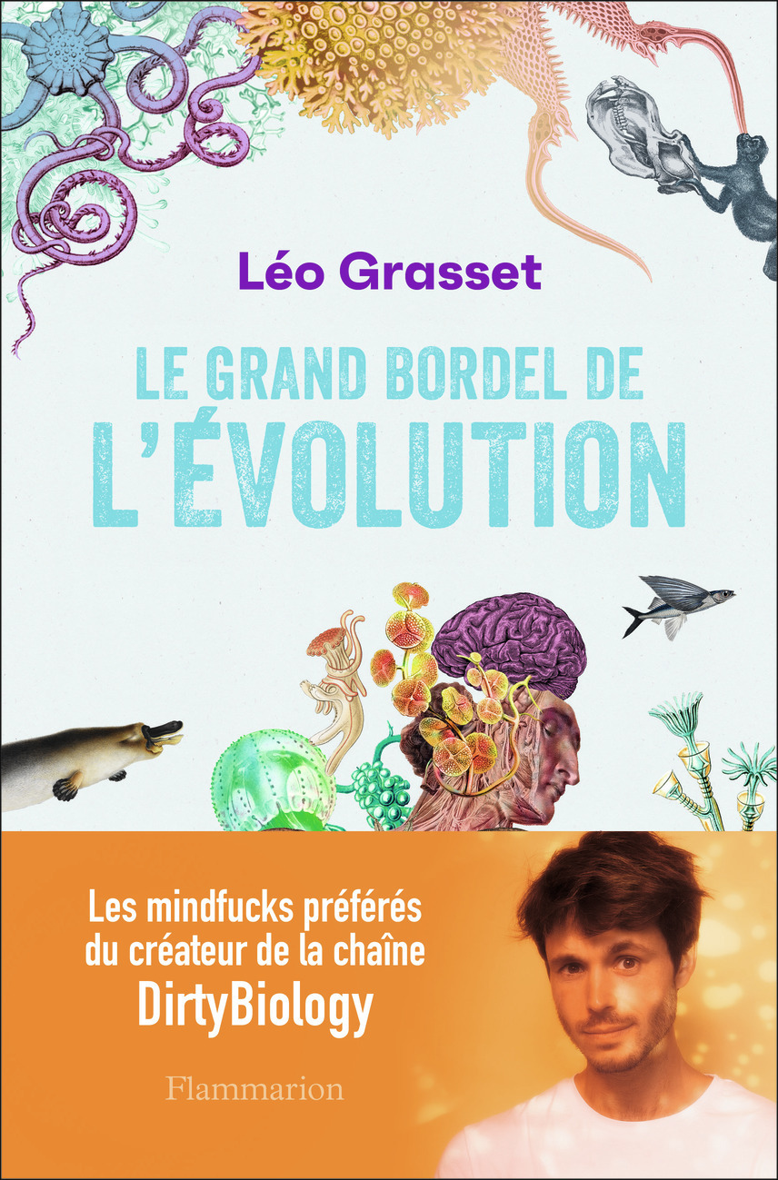 Le grand bordel de l'évolution (Broché)