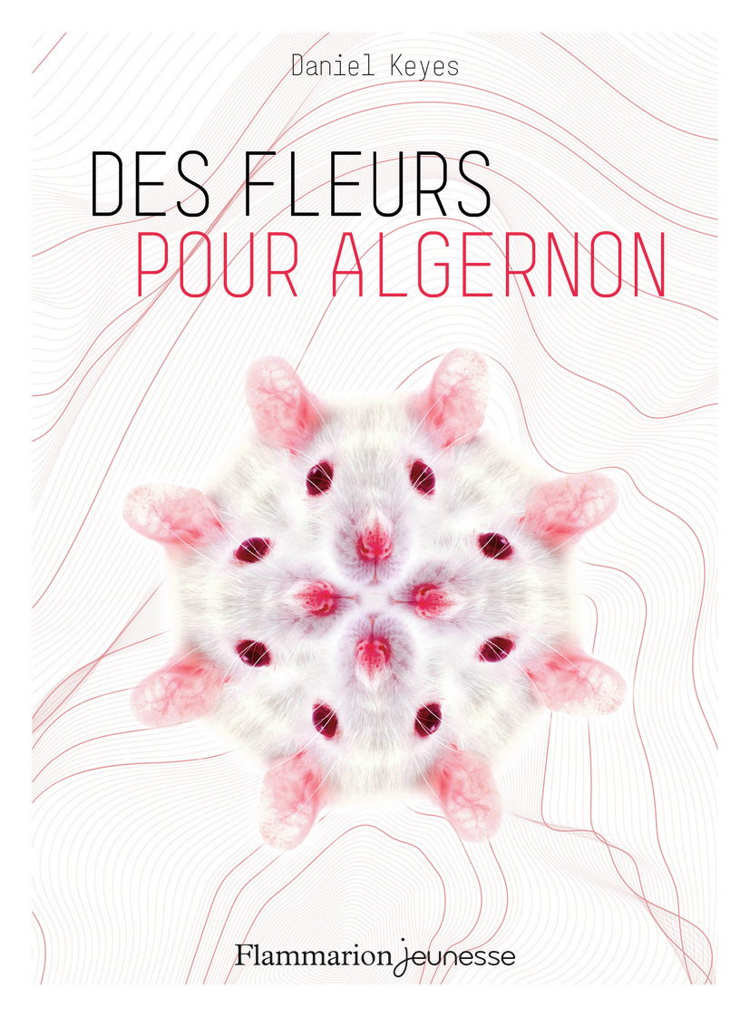 Des fleurs pour Algernon (Jeunesse)