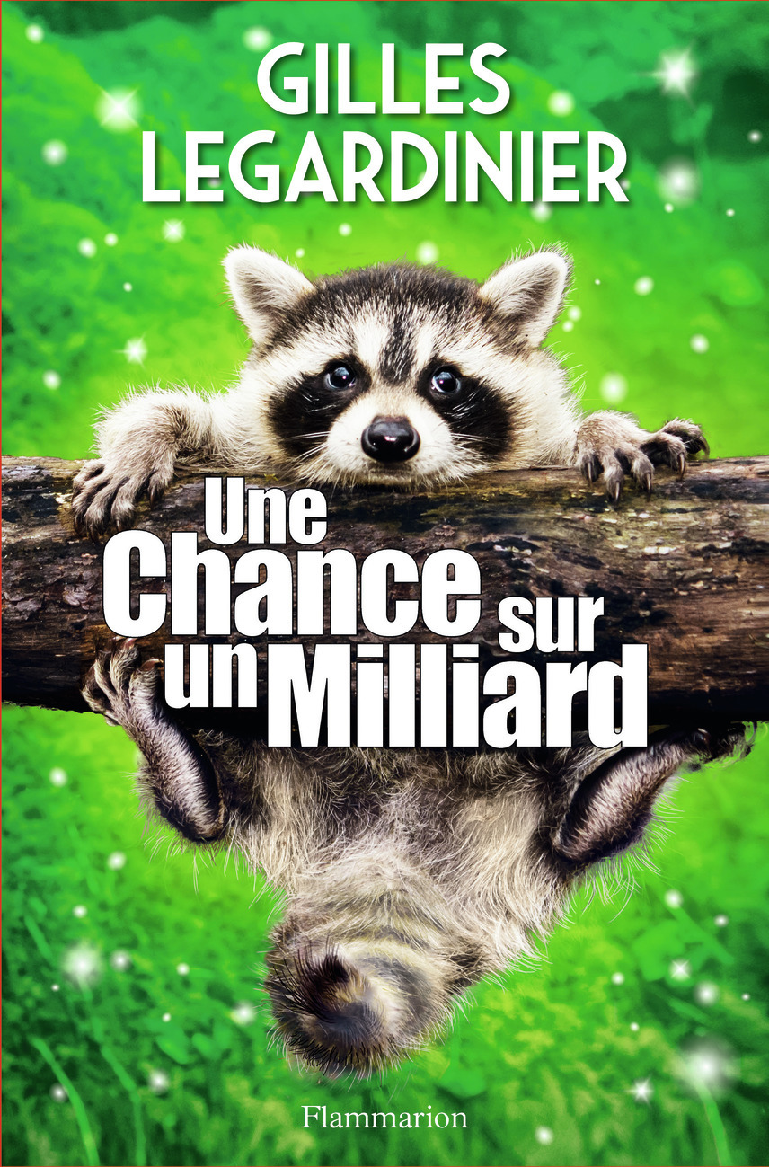 Une chance sur un milliard (Grand format)