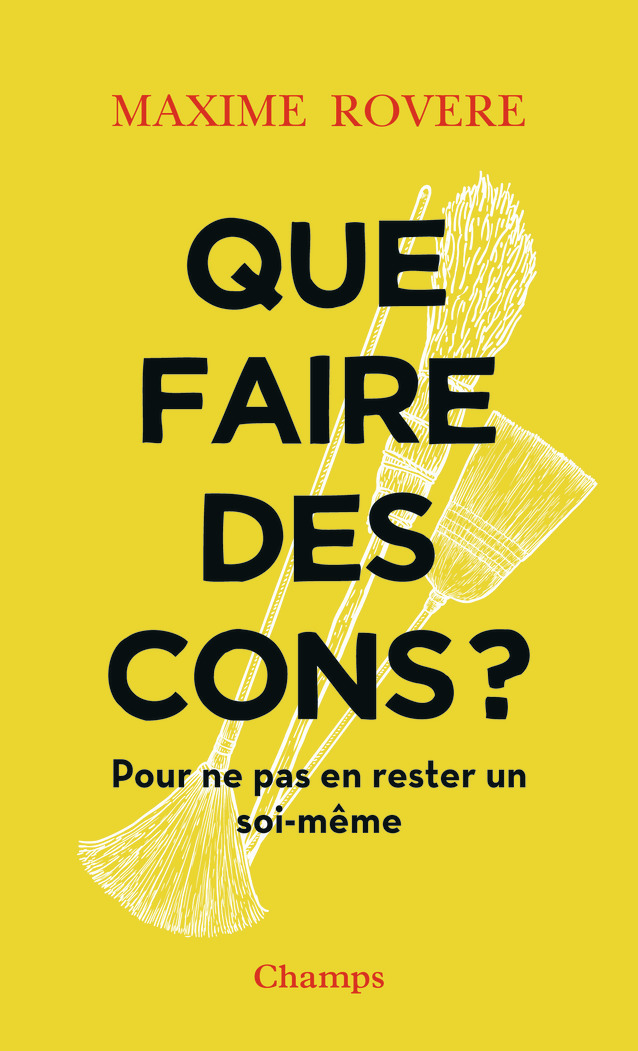 Que faire des cons ? - Pour ne pas en rester un soi-même (Broché)