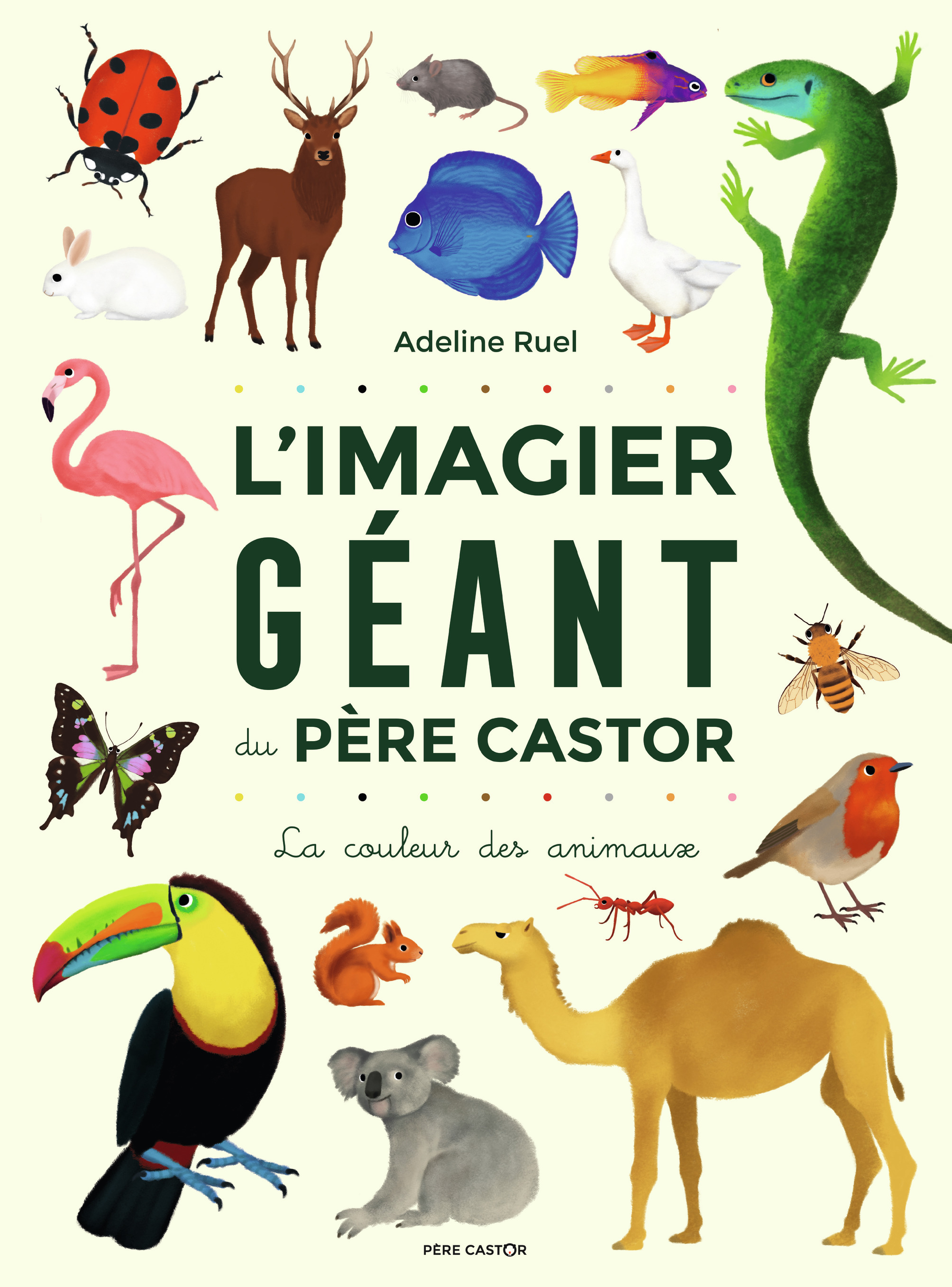 L'Imagier géant du Père Castor - La couleur des animaux (Jeunesse)