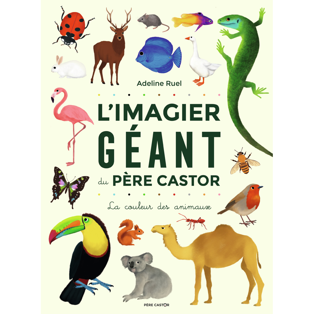 L'Imagier géant du Père Castor - La couleur des animaux (Jeunesse)