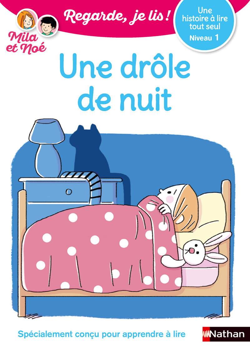 Une drôle de nuit - niveau 1 - Regarde je lis ! (Broché)