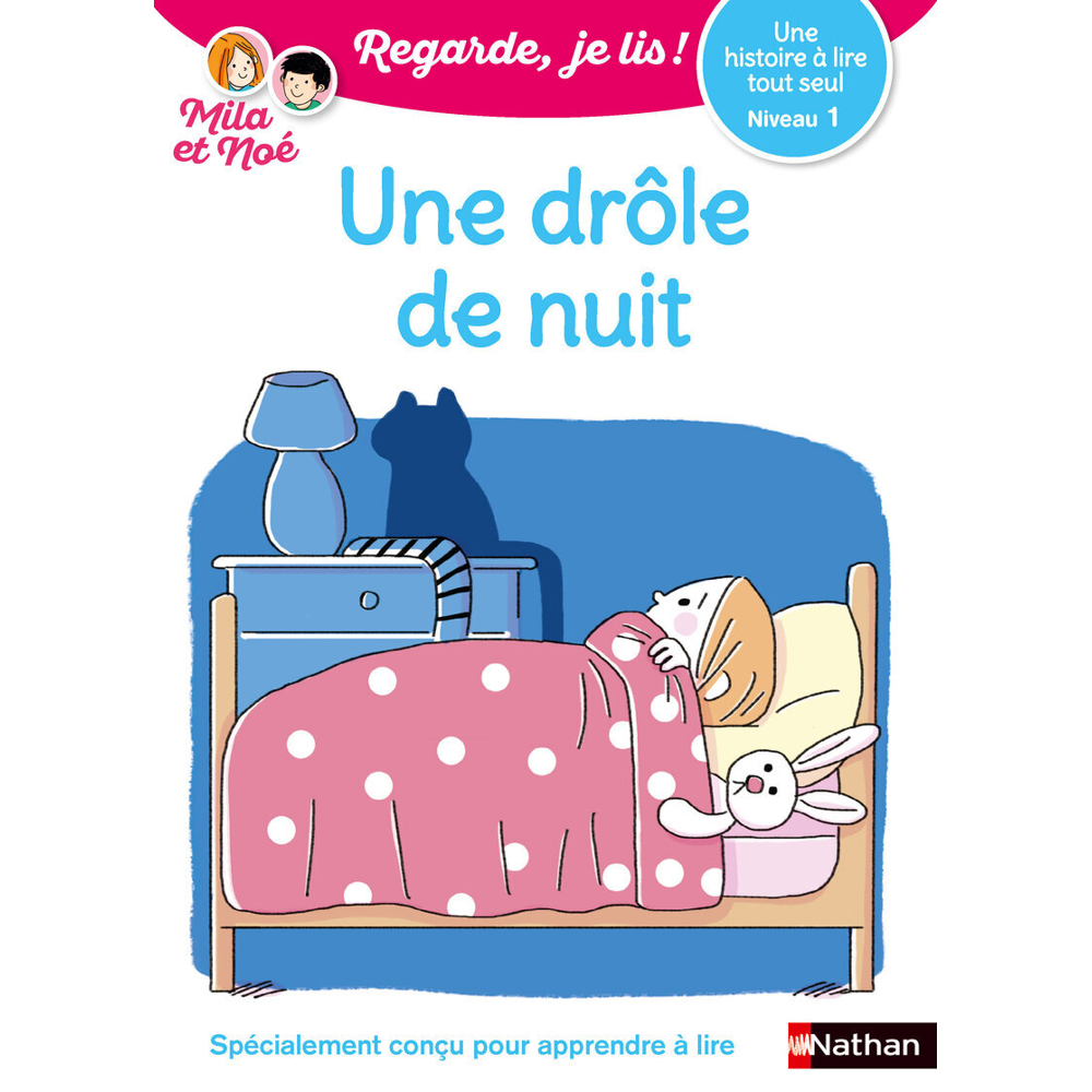 Une drôle de nuit - niveau 1 - Regarde je lis ! (Broché)