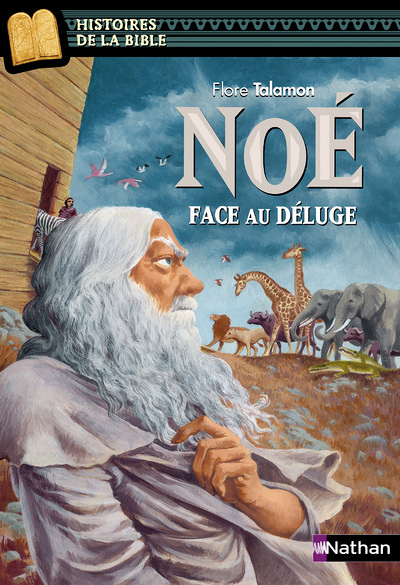 Noé, face au déluge (Jeunesse)