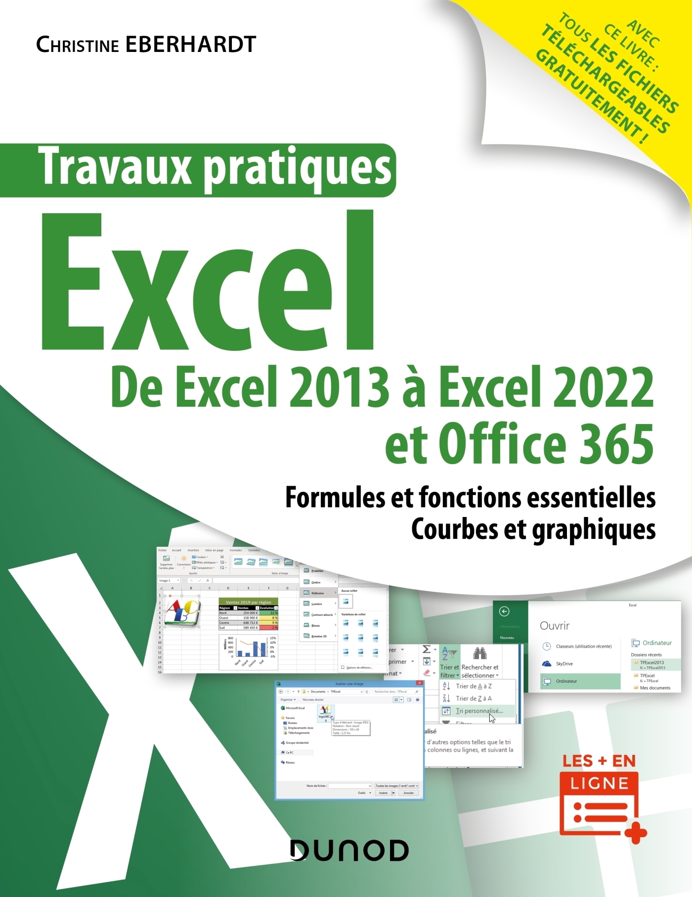 Travaux pratiques - Excel - De Excel 2013 à Excel 2022 et Office 365 (Broché)