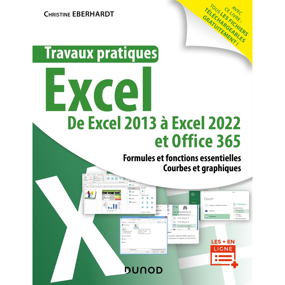 Travaux pratiques - Excel - De Excel 2013 à Excel 2022 et Office 365 (Broché)