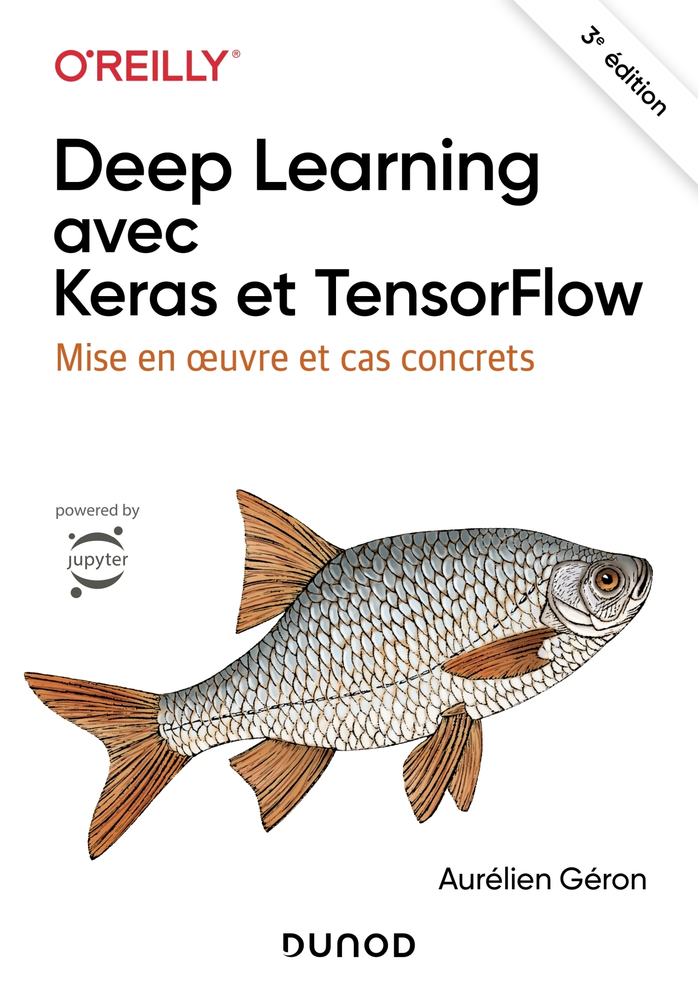 Deep Learning avec Keras et TensorFlow - 3e éd. - Mise en oeuvre et cas concrets (Broché)