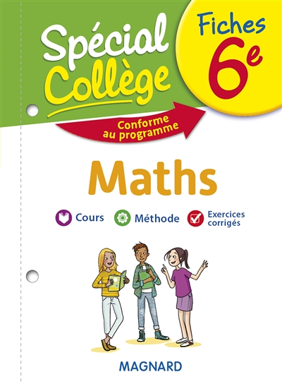 Spécial Collège Fiches Maths 6e (Broché)