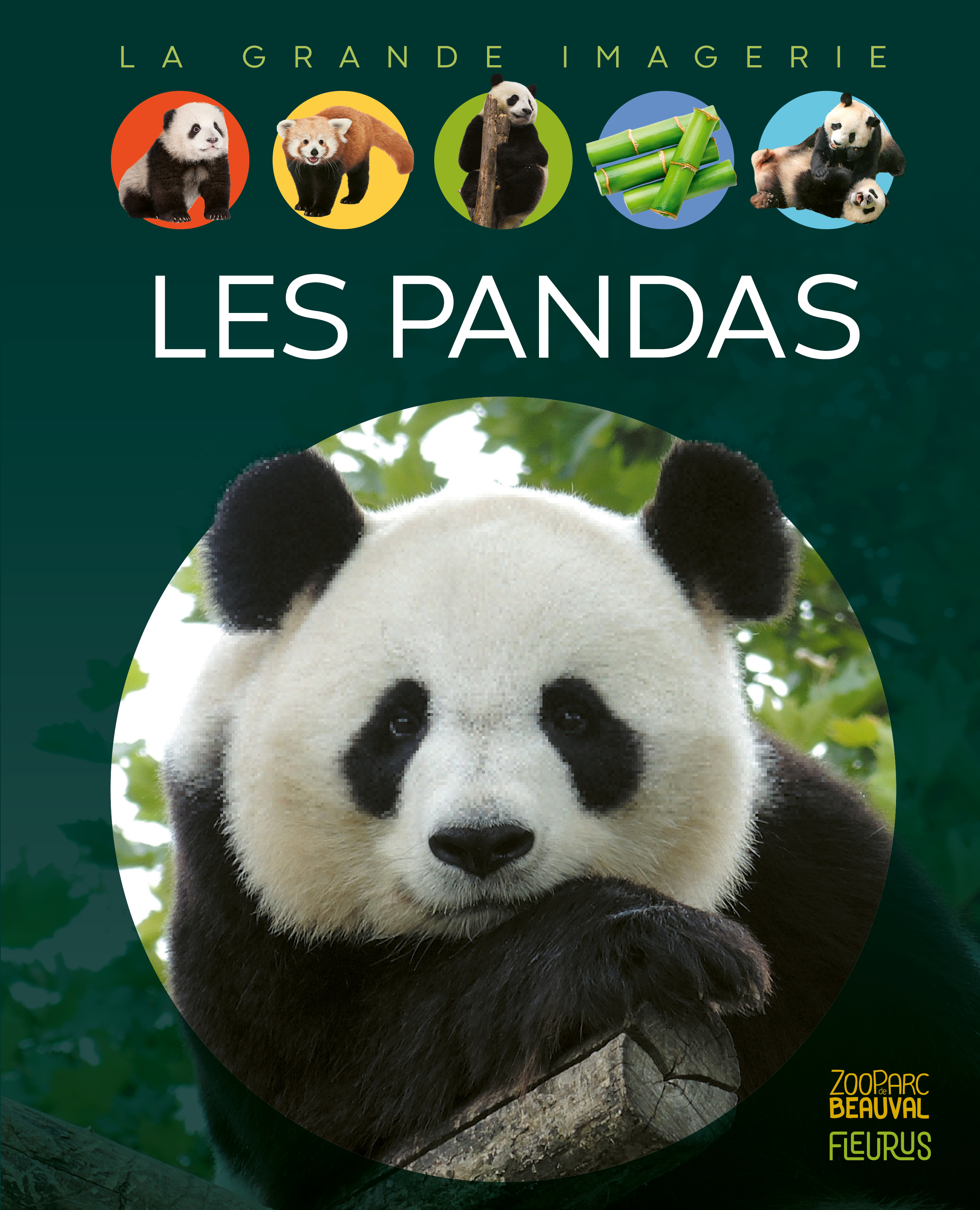 Les pandas (Jeunesse)